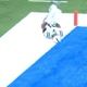 Nyheim Hines with the TC and the back flip with a full twist.